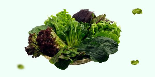 Green Leafy Healthy Vegetables